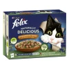 Felix Naturally Delicious Vom Hof 10x80G 5