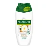 Palmolive® Naturals Duschcreme Kamelie & Mandel 250ML 5